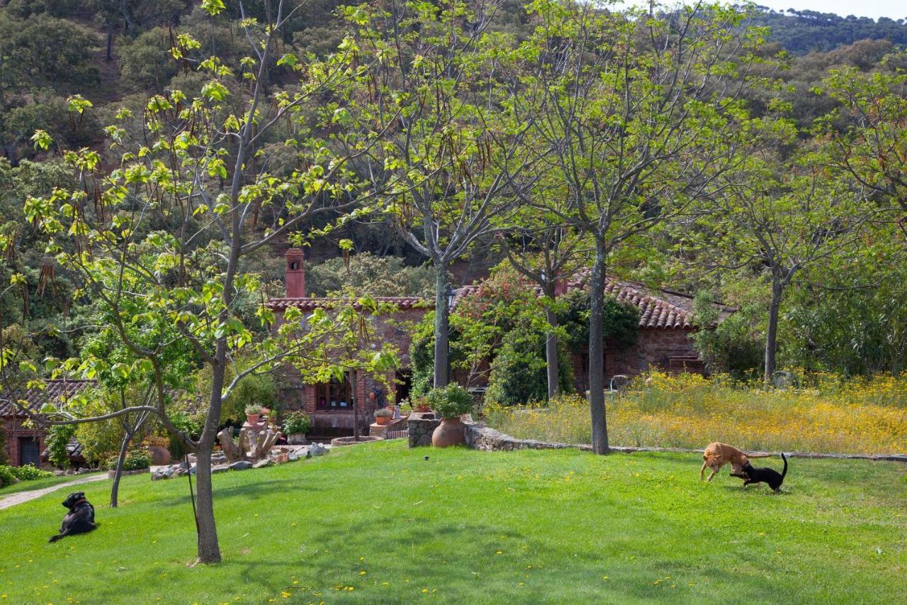 Molino Rio Alajar Casa de hóspedes Exterior foto